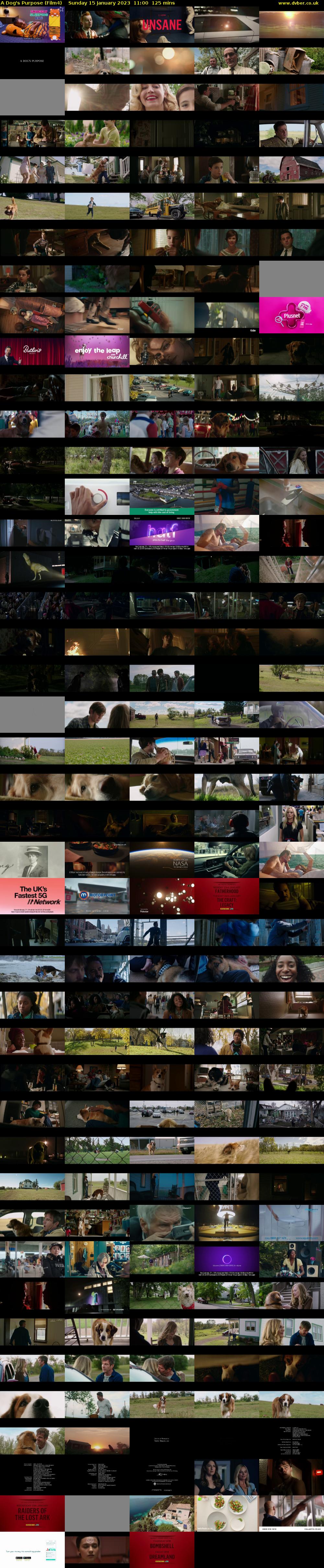 A Dog's Purpose (Film4) Sunday 15 January 2023 11:00 - 13:05