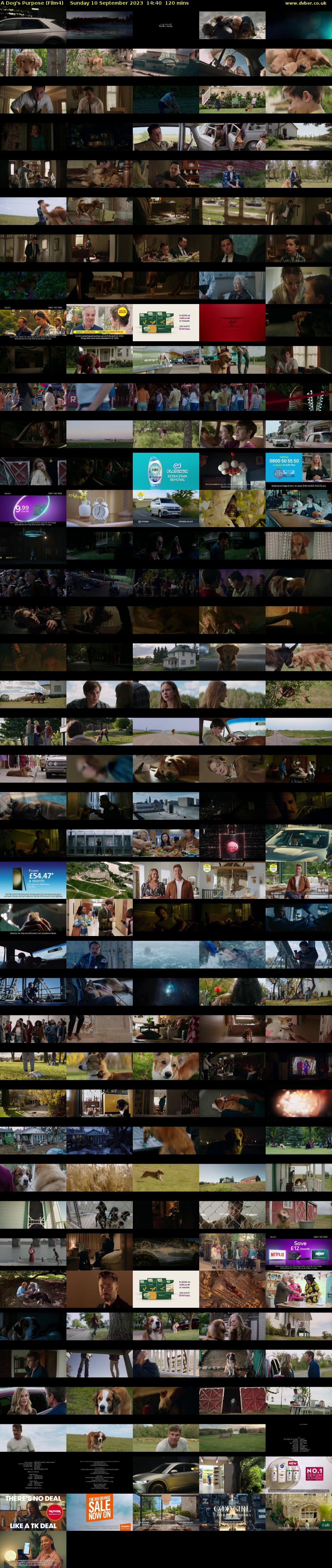 A Dog's Purpose (Film4) Sunday 10 September 2023 14:40 - 16:40
