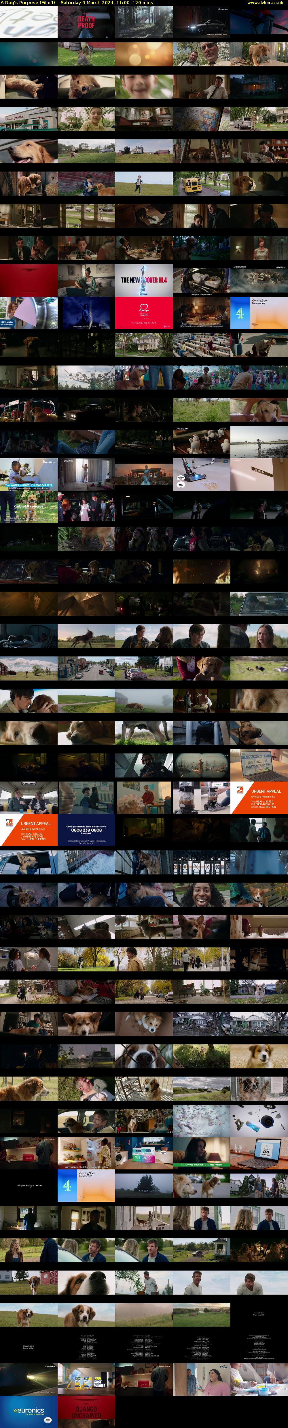 A Dog's Purpose (Film4) Saturday 9 March 2024 11:00 - 13:00