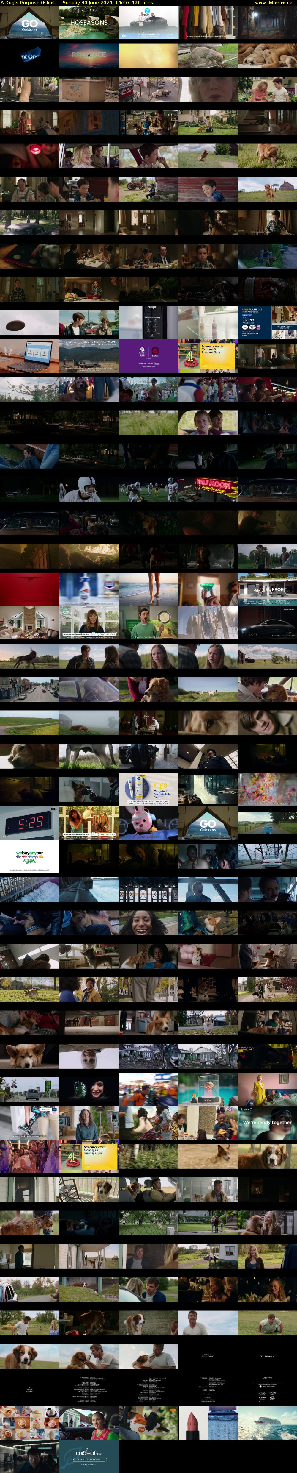 A Dog's Purpose (Film4) Sunday 30 June 2024 14:40 - 16:40