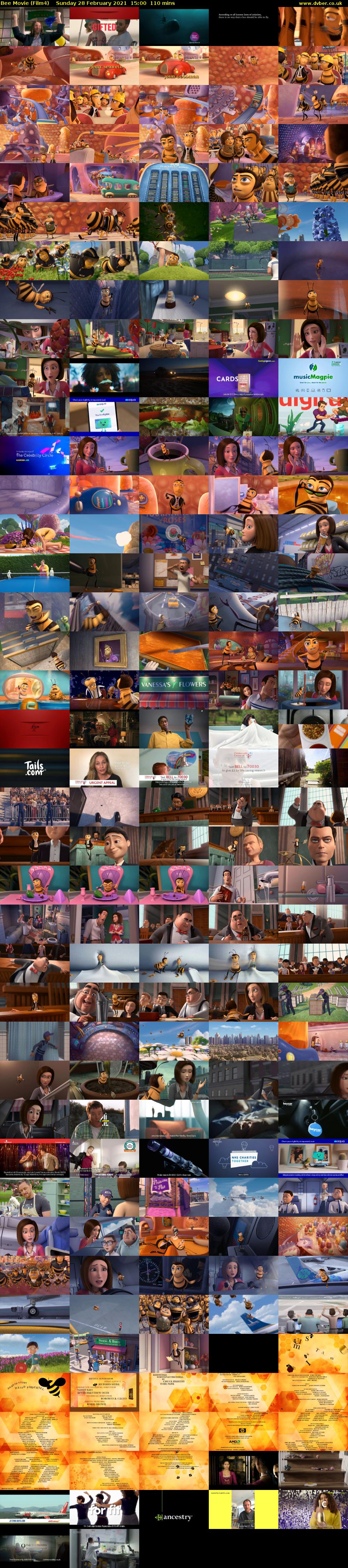 Bee Movie (Film4) Sunday 28 February 2021 15:00 - 16:50