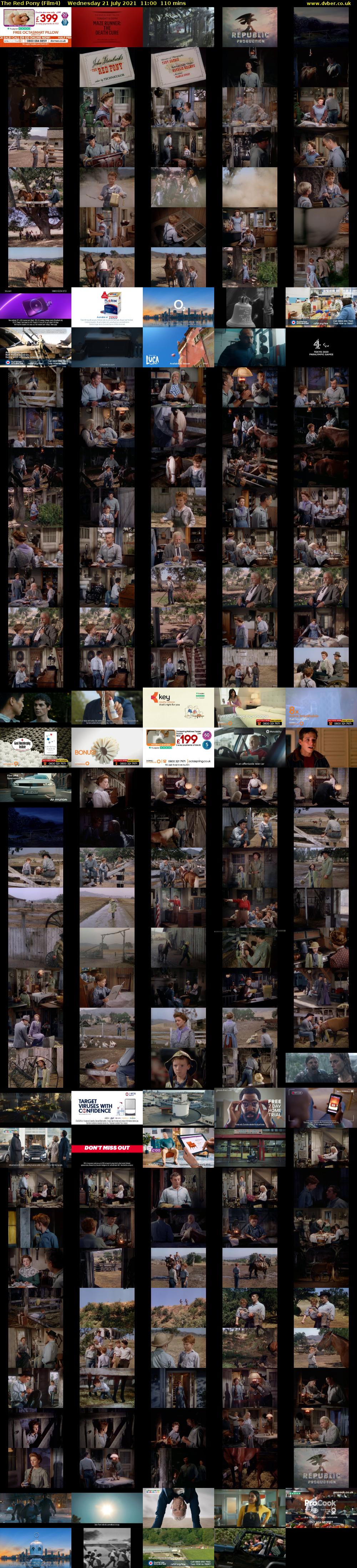 The Red Pony (Film4) Wednesday 21 July 2021 11:00 - 12:50