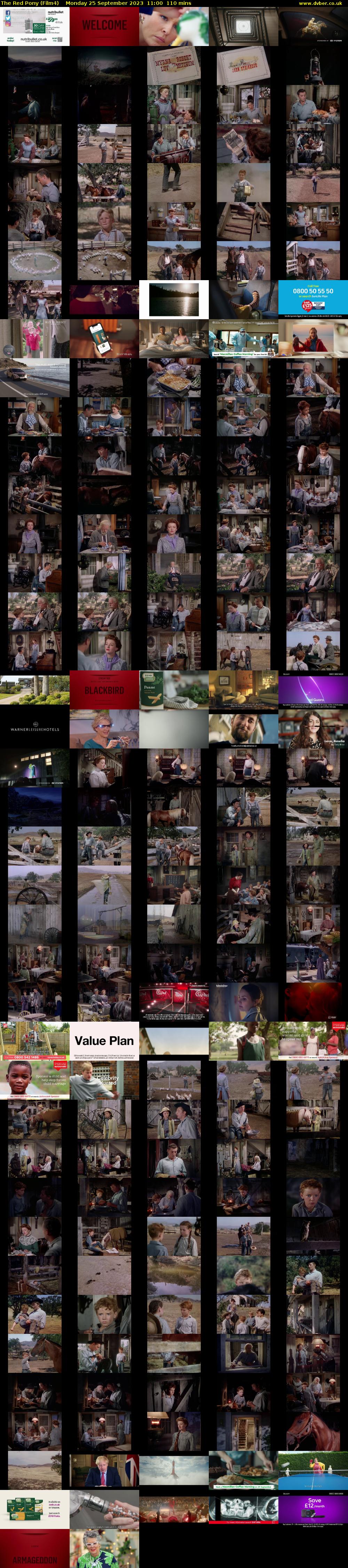 The Red Pony (Film4) Monday 25 September 2023 11:00 - 12:50