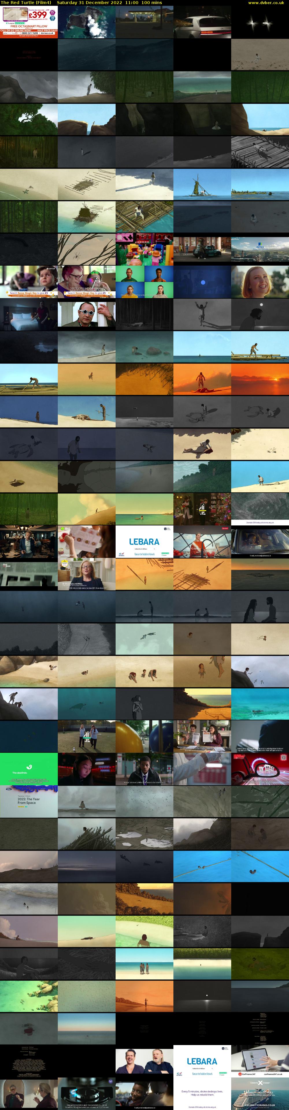 The Red Turtle (Film4) Saturday 31 December 2022 11:00 - 12:40