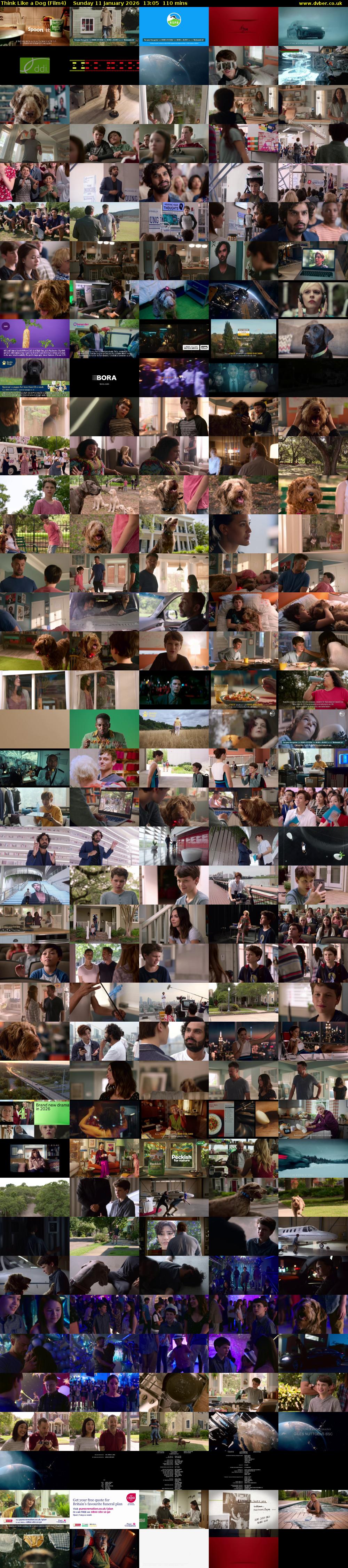 Think Like a Dog (Film4) Sunday 11 January 2026 13:05 - 14:55