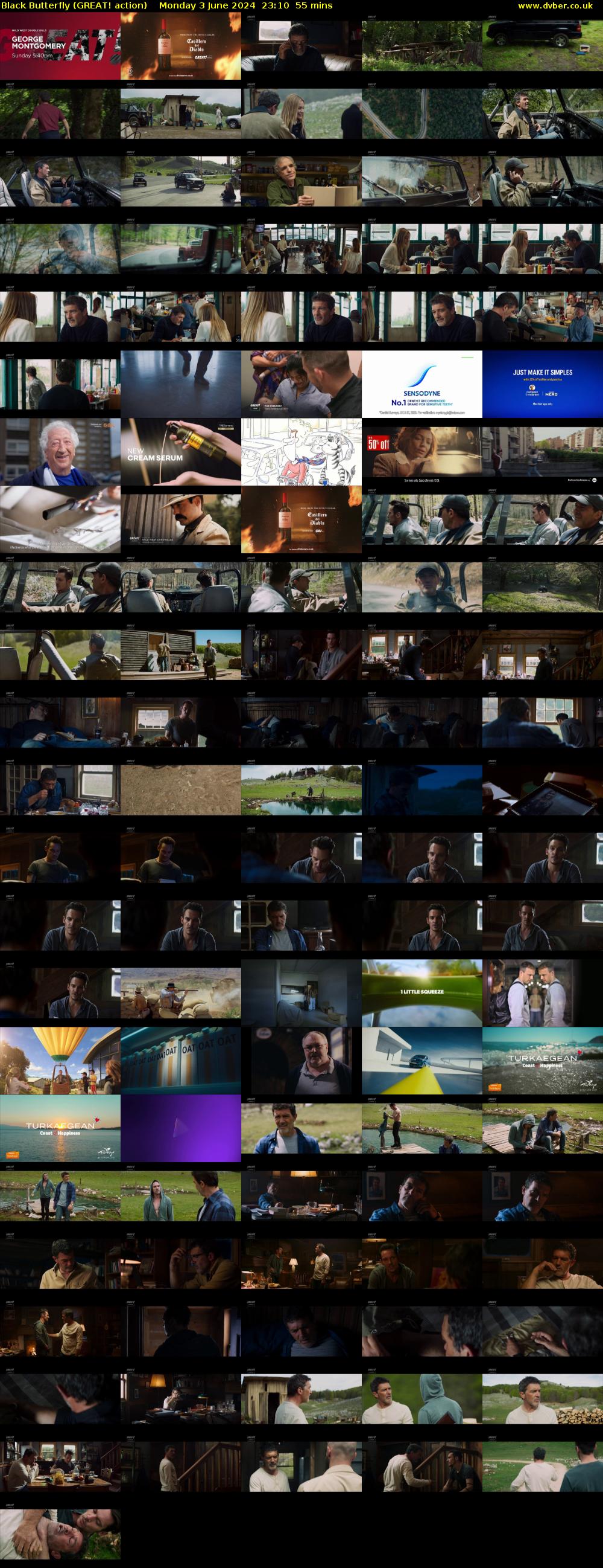 Black Butterfly (GREAT! action) Monday 3 June 2024 23:10 - 00:05
