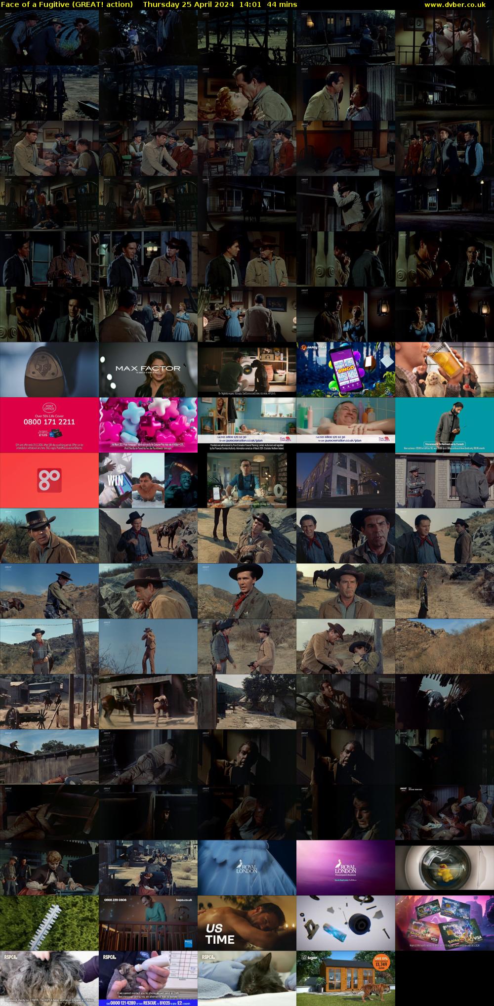 Face of a Fugitive (GREAT! action) Thursday 25 April 2024 14:01 - 14:45