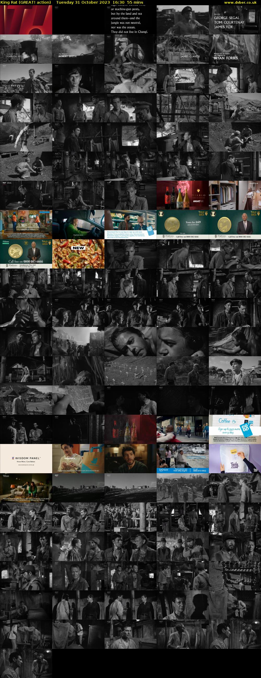 King Rat (GREAT! action) Tuesday 31 October 2023 16:30 - 17:25