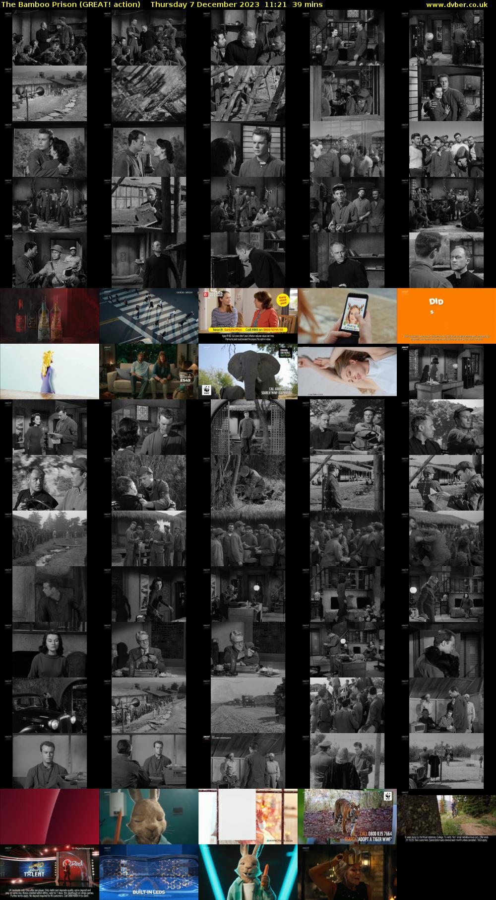 The Bamboo Prison (GREAT! action) Thursday 7 December 2023 11:21 - 12:00