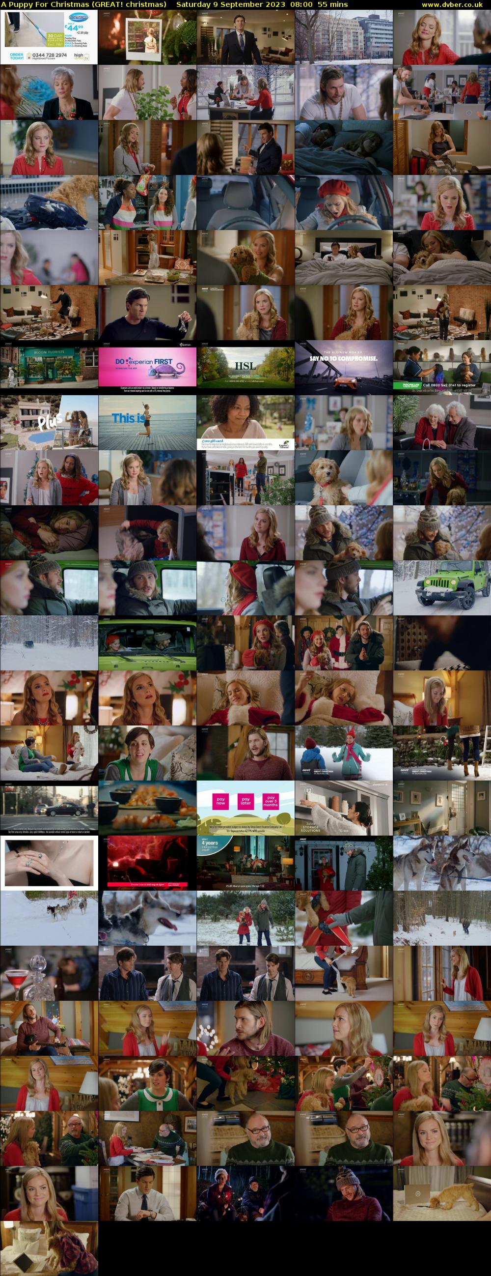A Puppy For Christmas (GREAT! christmas) Saturday 9 September 2023 08:00 - 08:55