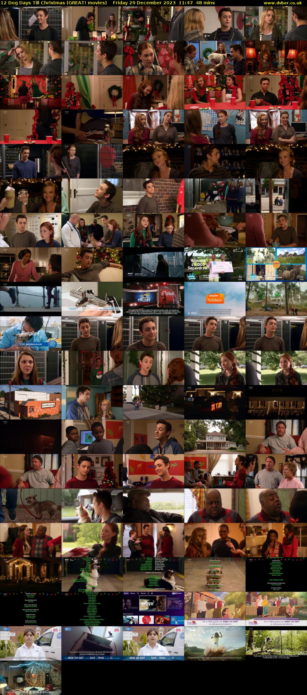 12 Dog Days Till Christmas (GREAT! movies) Friday 29 December 2023 11:47 - 12:35