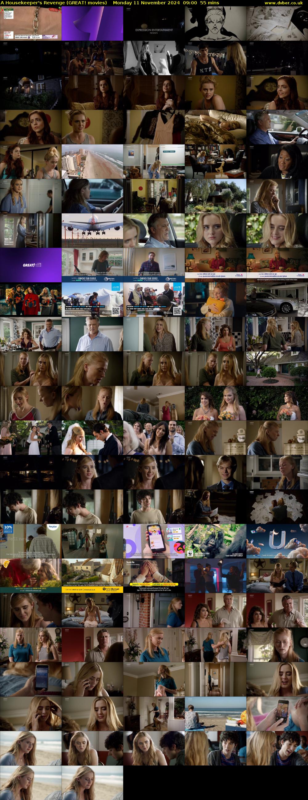 A Housekeeper's Revenge (GREAT! movies) Monday 11 November 2024 09:00 - 09:55