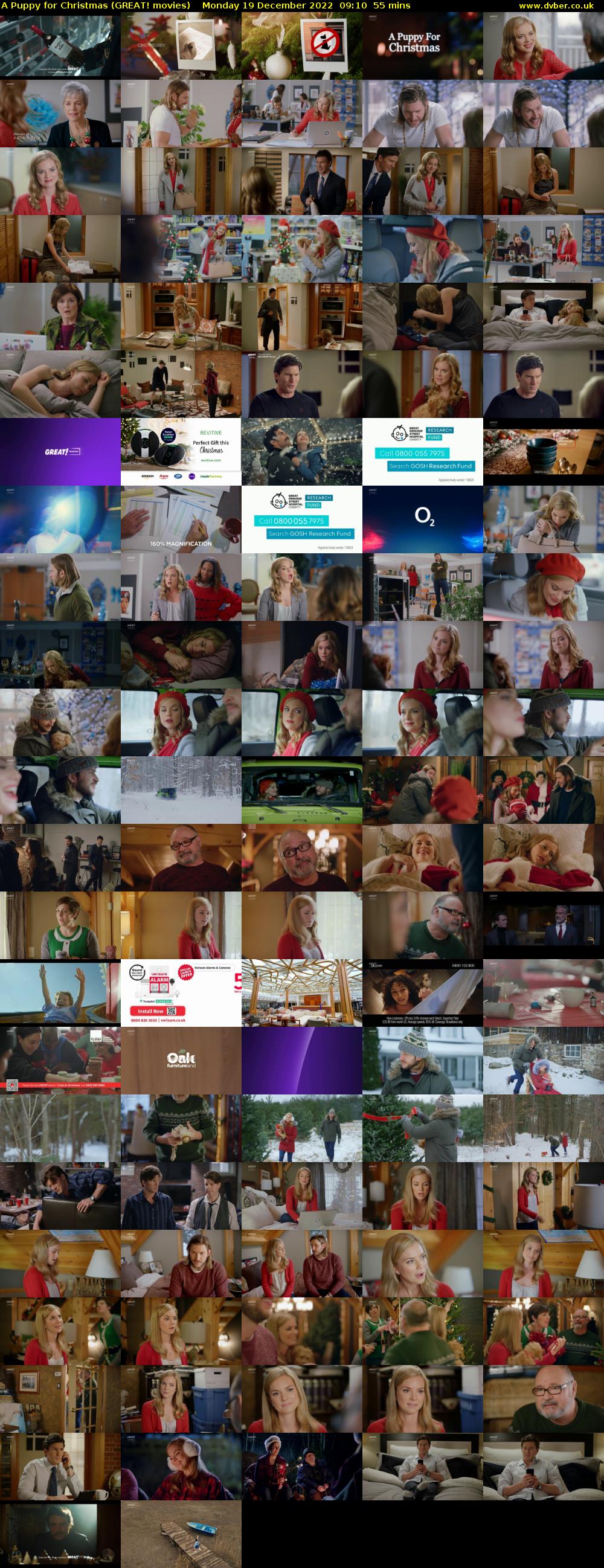 A Puppy for Christmas (GREAT! movies) Monday 19 December 2022 09:10 - 10:05