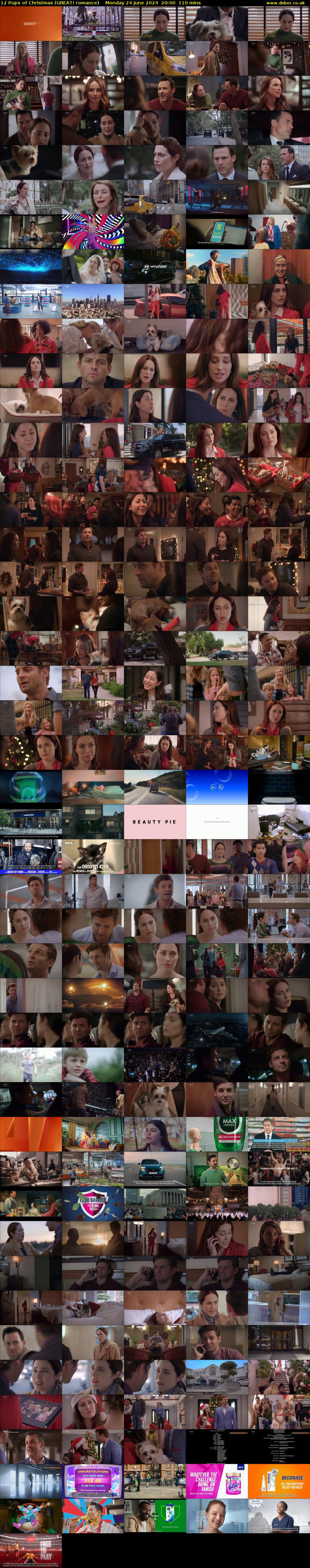 12 Pups of Christmas (GREAT! romance) Monday 24 June 2024 20:00 - 21:50