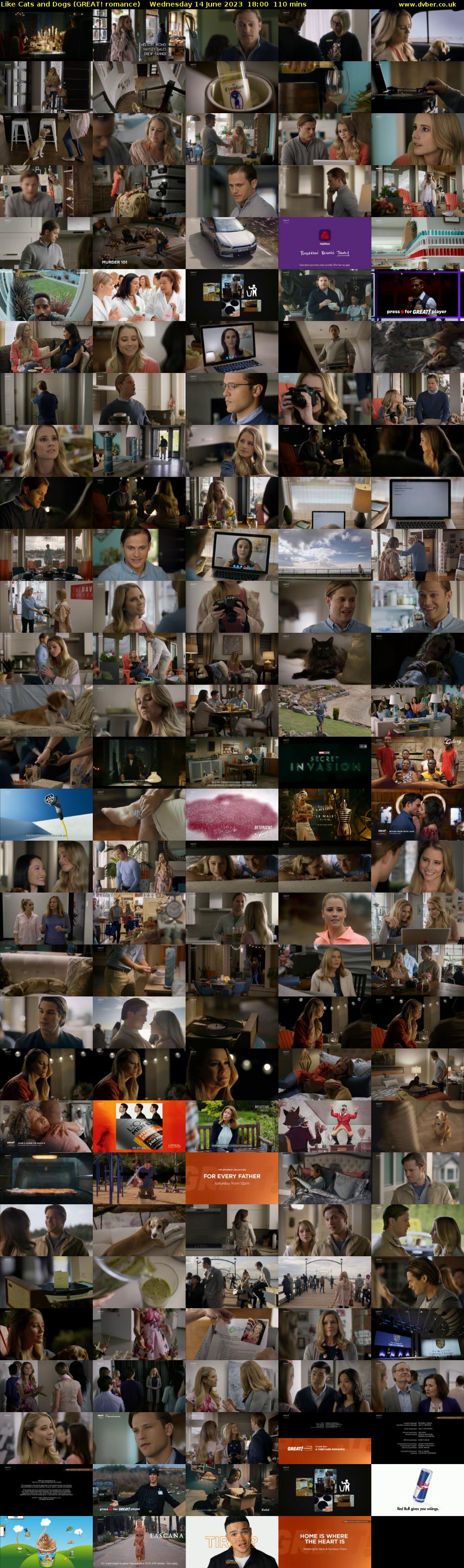 Like Cats and Dogs (GREAT! romance) Wednesday 14 June 2023 18:00 - 19:50