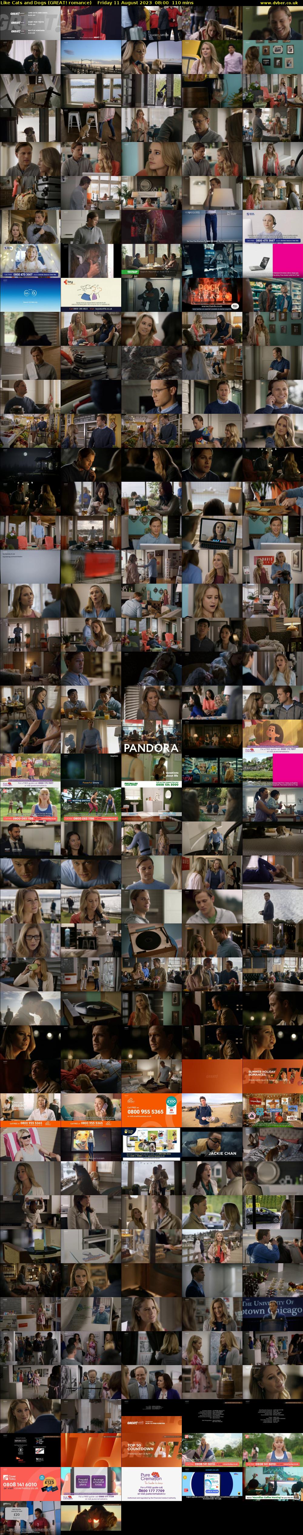 Like Cats and Dogs (GREAT! romance) Friday 11 August 2023 08:00 - 09:50