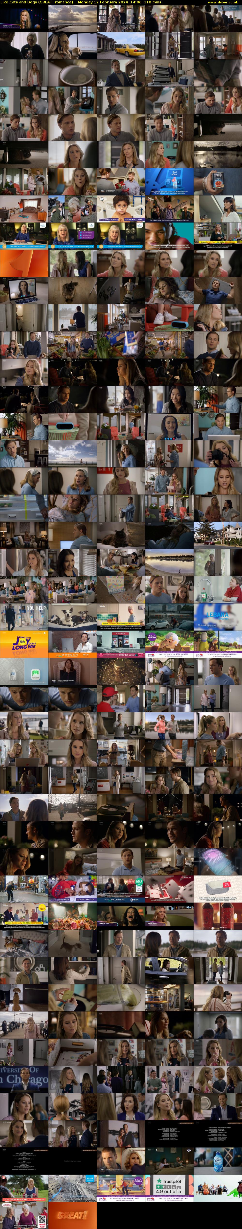 Like Cats and Dogs (GREAT! romance) Monday 12 February 2024 14:00 - 15:50