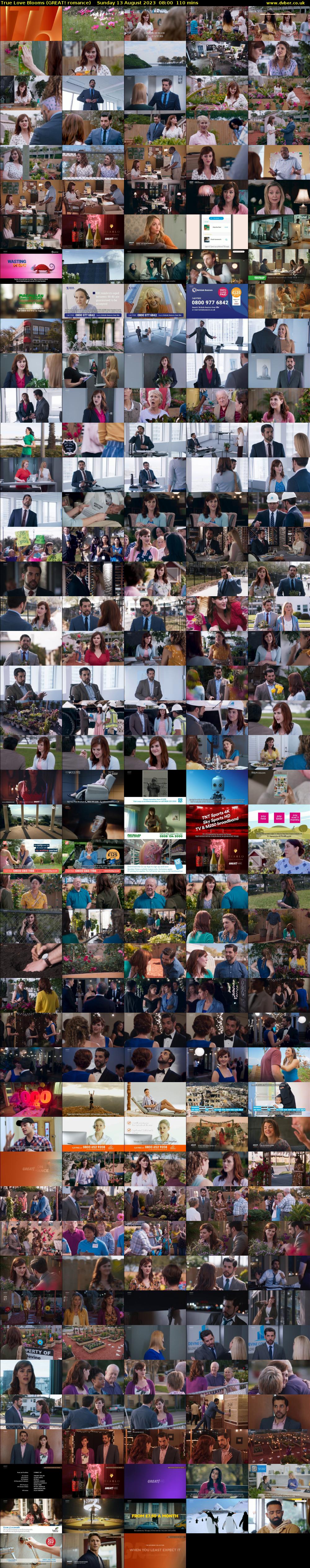 True Love Blooms (GREAT! romance) Sunday 13 August 2023 08:00 - 09:50