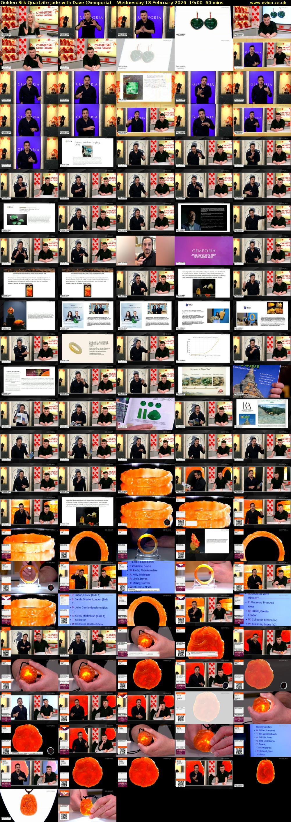 Golden Silk Quartzite Jade with Dave (Gemporia) Wednesday 18 February 2026 19:00 - 20:00