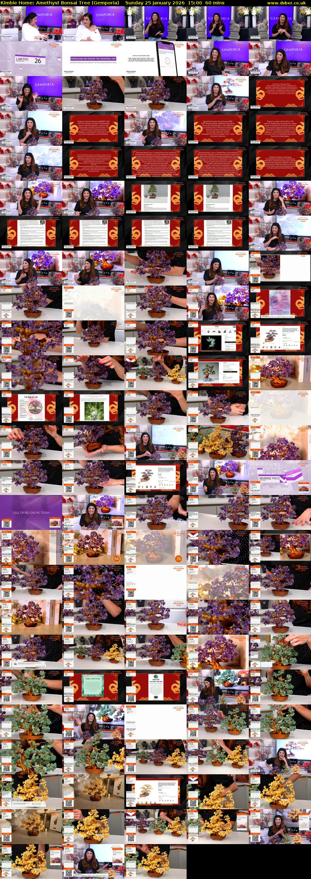 Kimbie Home: Amethyst Bonsai Tree (Gemporia) Sunday 25 January 2026 15:00 - 16:00