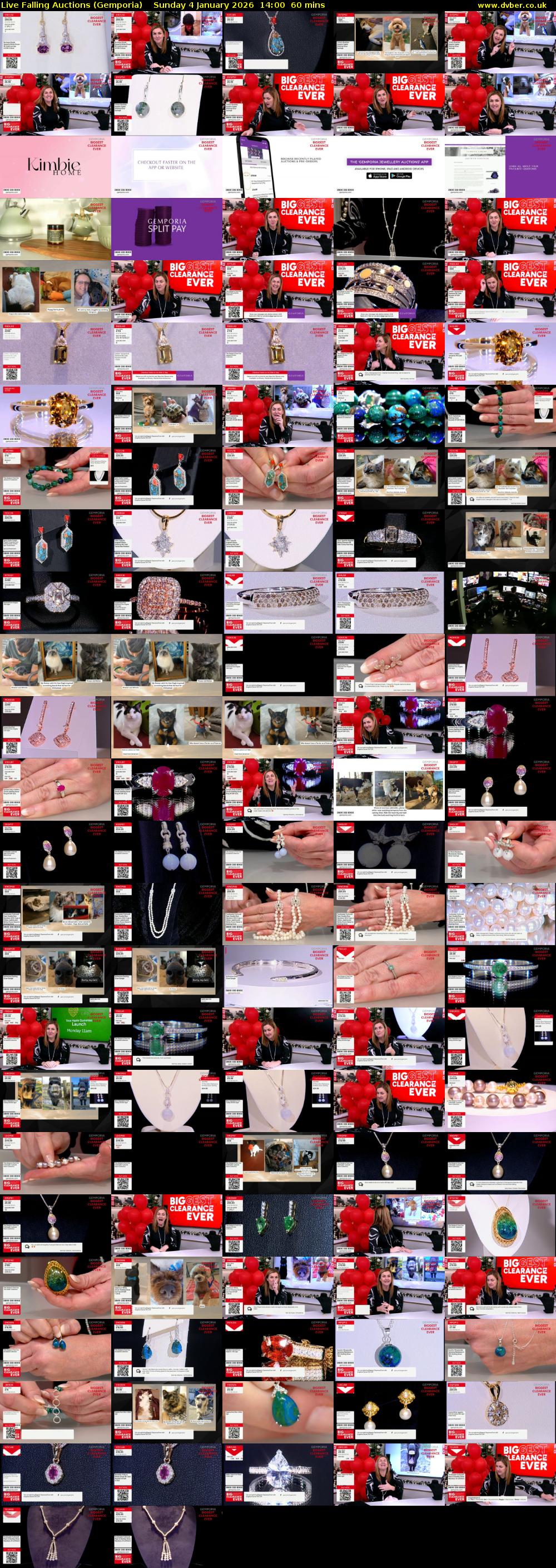 Live Falling Auctions (Gemporia) Sunday 4 January 2026 14:00 - 15:00