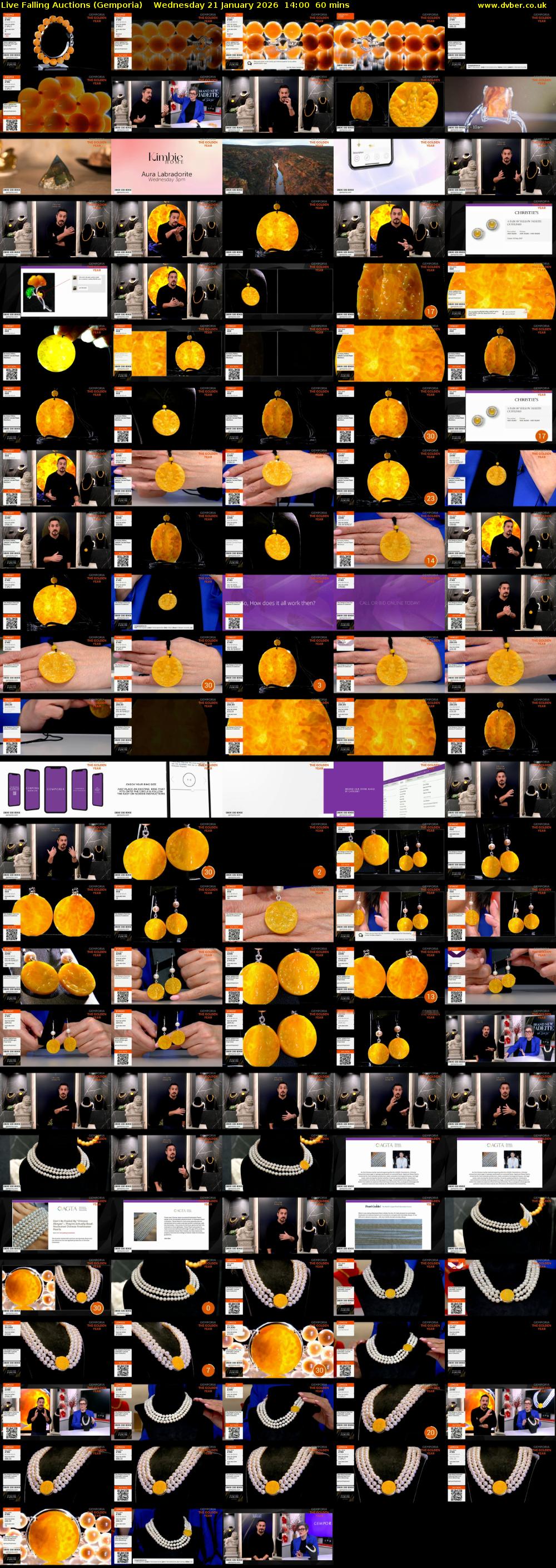 Live Falling Auctions (Gemporia) Wednesday 21 January 2026 14:00 - 15:00