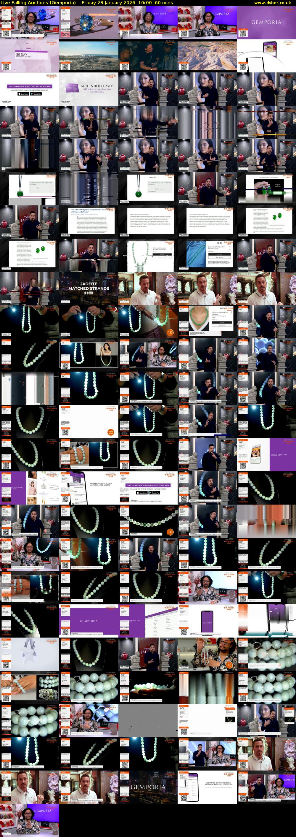 Live Falling Auctions (Gemporia) Friday 23 January 2026 10:00 - 11:00