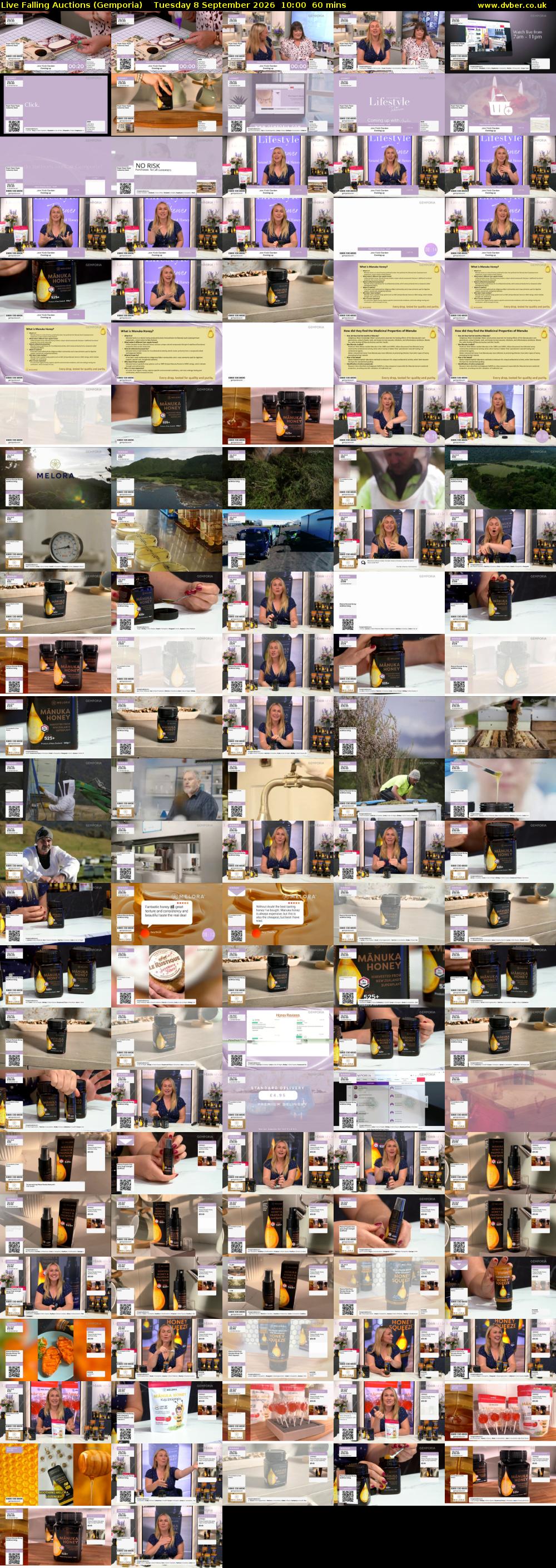 Live Falling Auctions (Gemporia) Tuesday 8 September 2026 10:00 - 11:00
