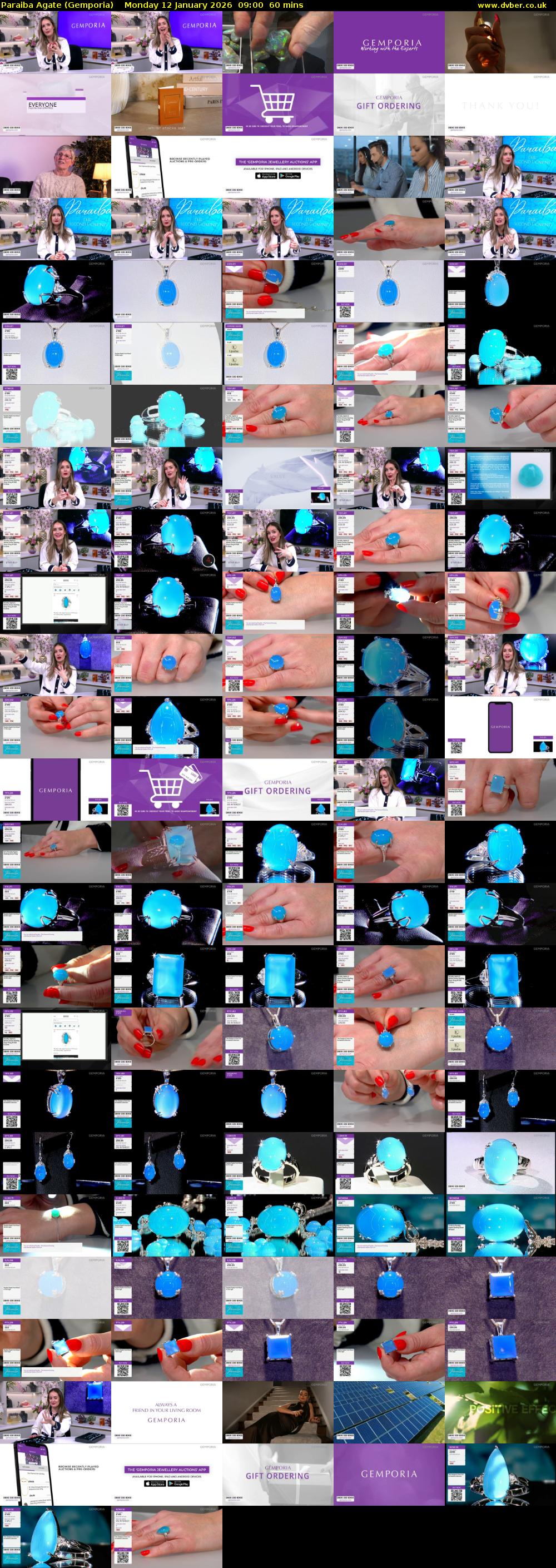 Paraiba Agate (Gemporia) Monday 12 January 2026 09:00 - 10:00