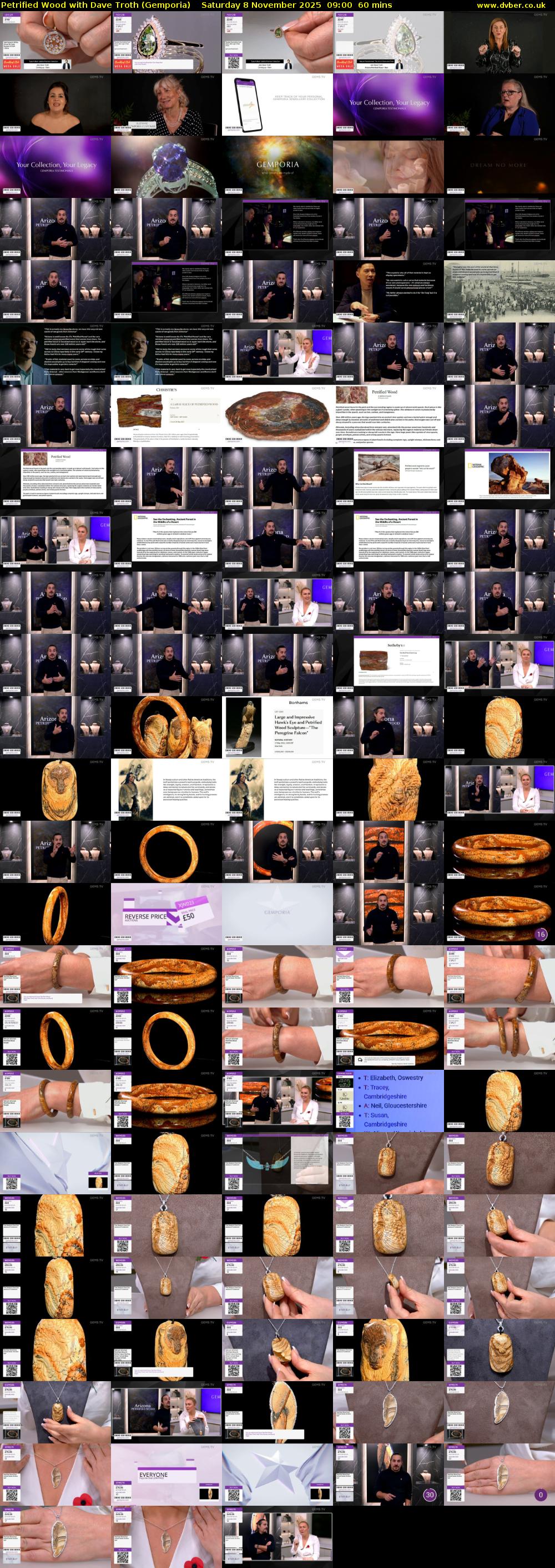 Petrified Wood with Dave Troth (Gemporia) Saturday 8 November 2025 09:00 - 10:00