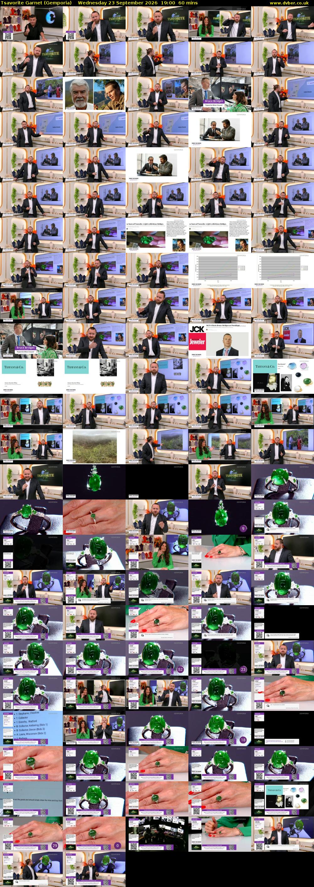Tsavorite Garnet (Gemporia) Wednesday 23 September 2026 19:00 - 20:00