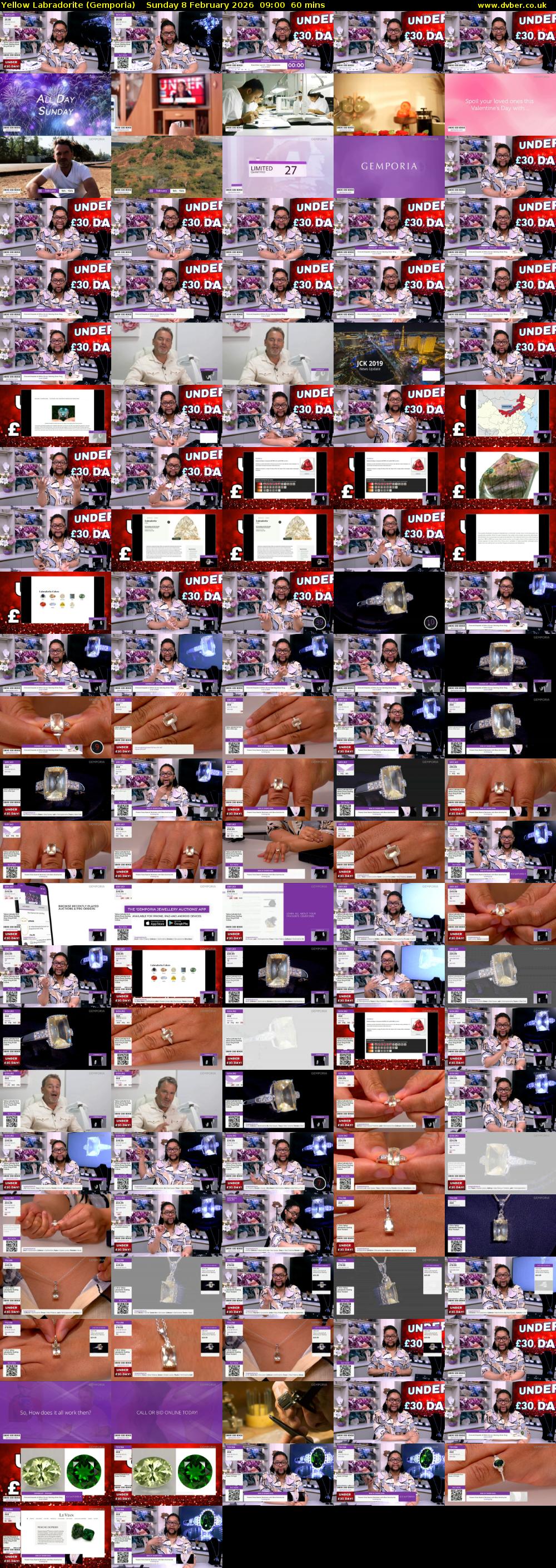 Yellow Labradorite (Gemporia) Sunday 8 February 2026 09:00 - 10:00