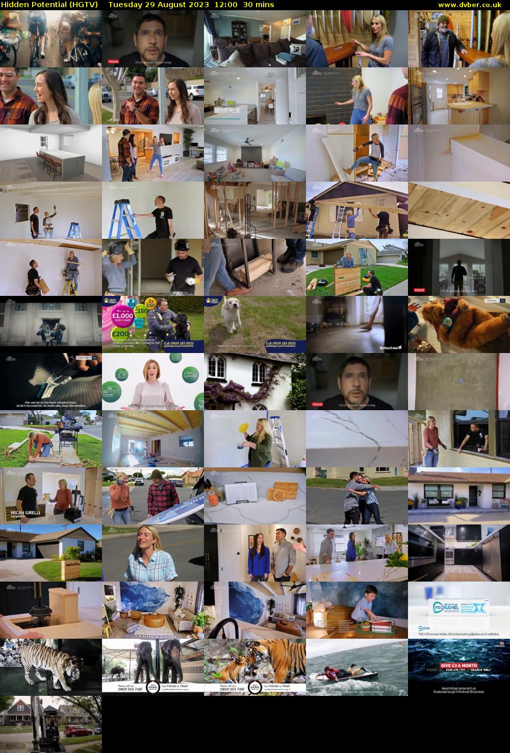 Hidden Potential (HGTV) Tuesday 29 August 2023 12:00 - 12:30
