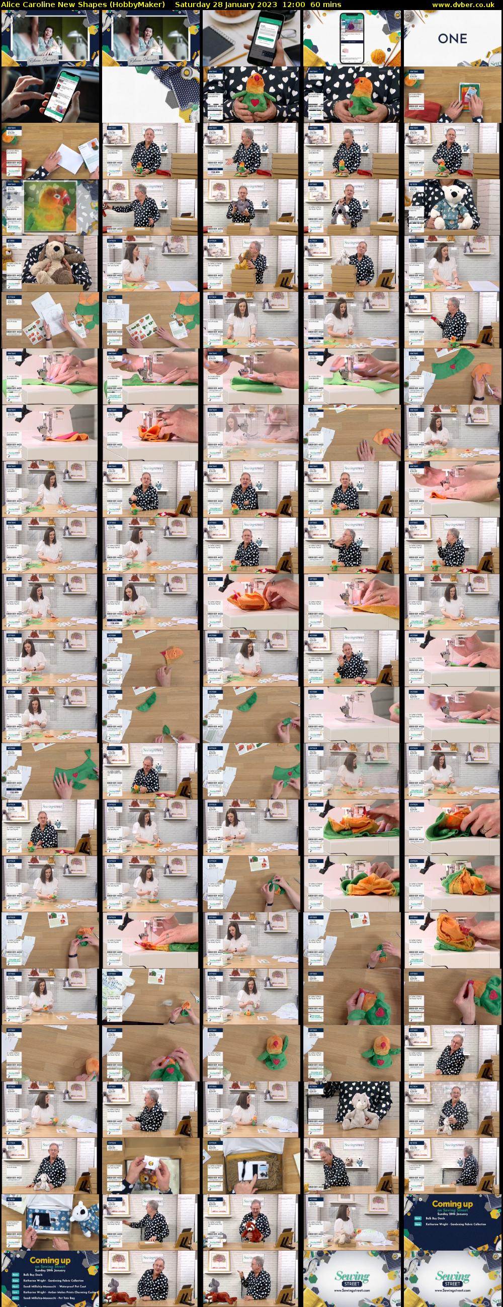 Alice Caroline New Shapes (HobbyMaker) Saturday 28 January 2023 12:00 - 13:00