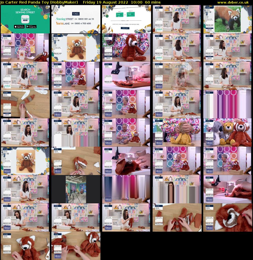Jo Carter Red Panda Toy (HobbyMaker) Friday 19 August 2022 10:00 - 11:00