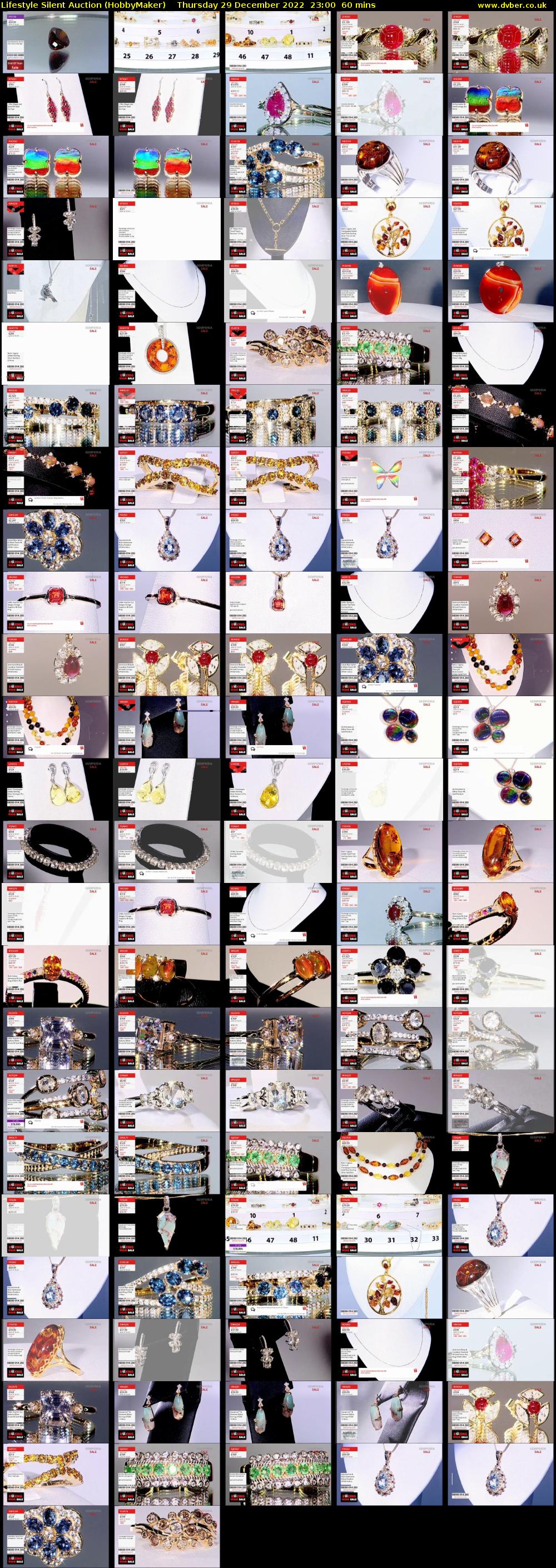 Lifestyle Silent Auction (HobbyMaker) Thursday 29 December 2022 23:00 - 00:00