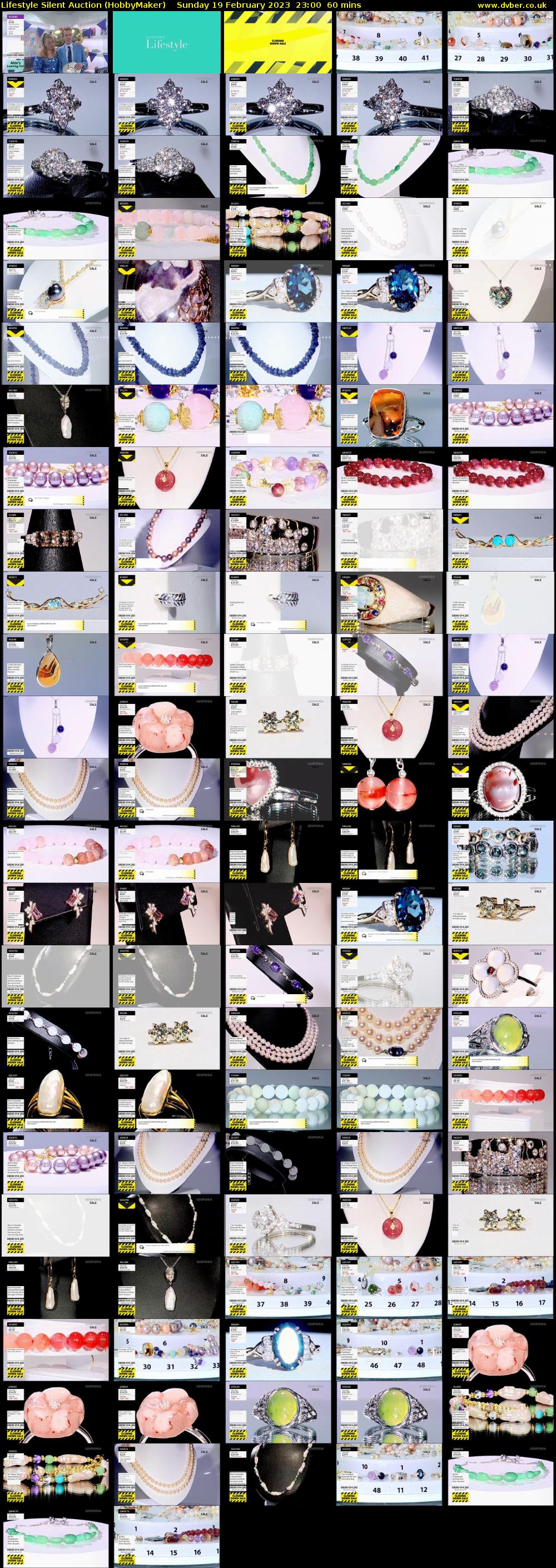 Lifestyle Silent Auction (HobbyMaker) Sunday 19 February 2023 23:00 - 00:00