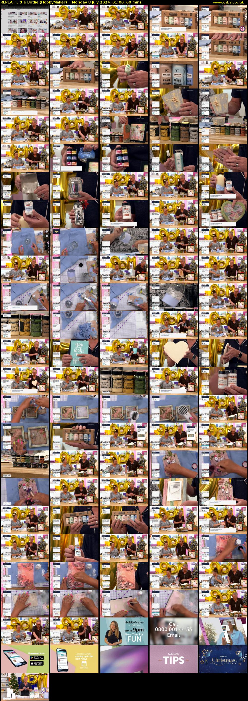 REPEAT Little Birdie (HobbyMaker) Monday 8 July 2024 01:00 - 02:00