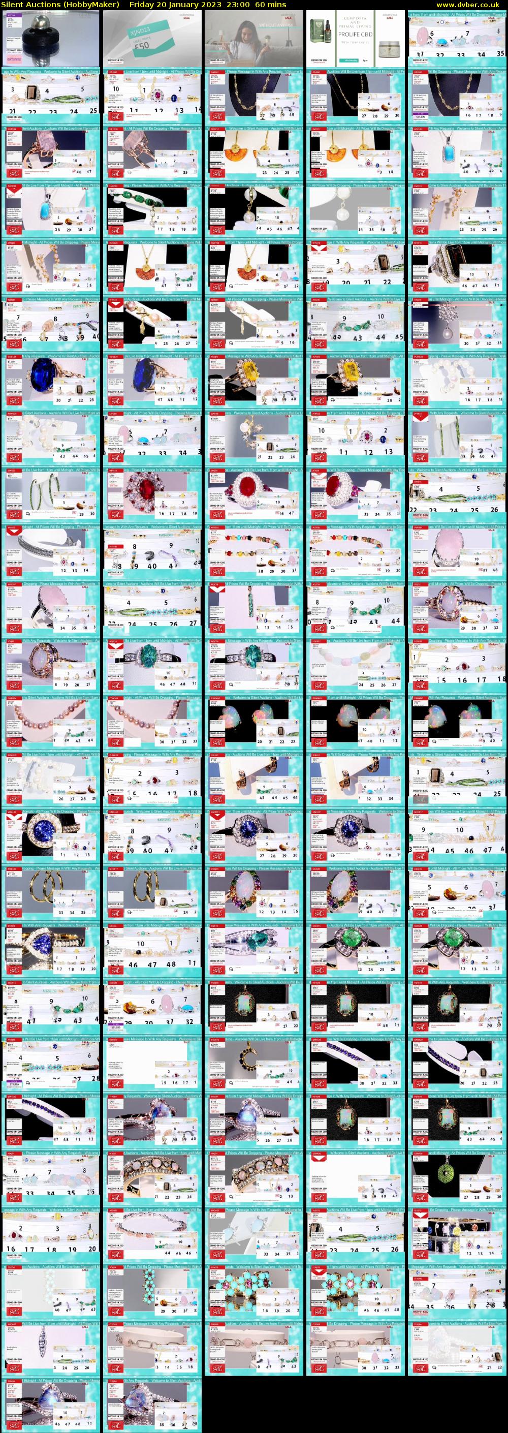Silent Auctions (HobbyMaker) Friday 20 January 2023 23:00 - 00:00