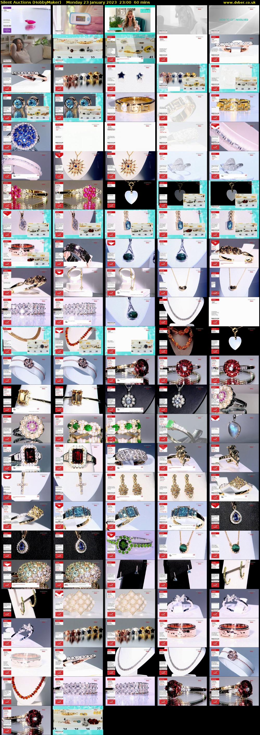Silent Auctions (HobbyMaker) Monday 23 January 2023 23:00 - 00:00