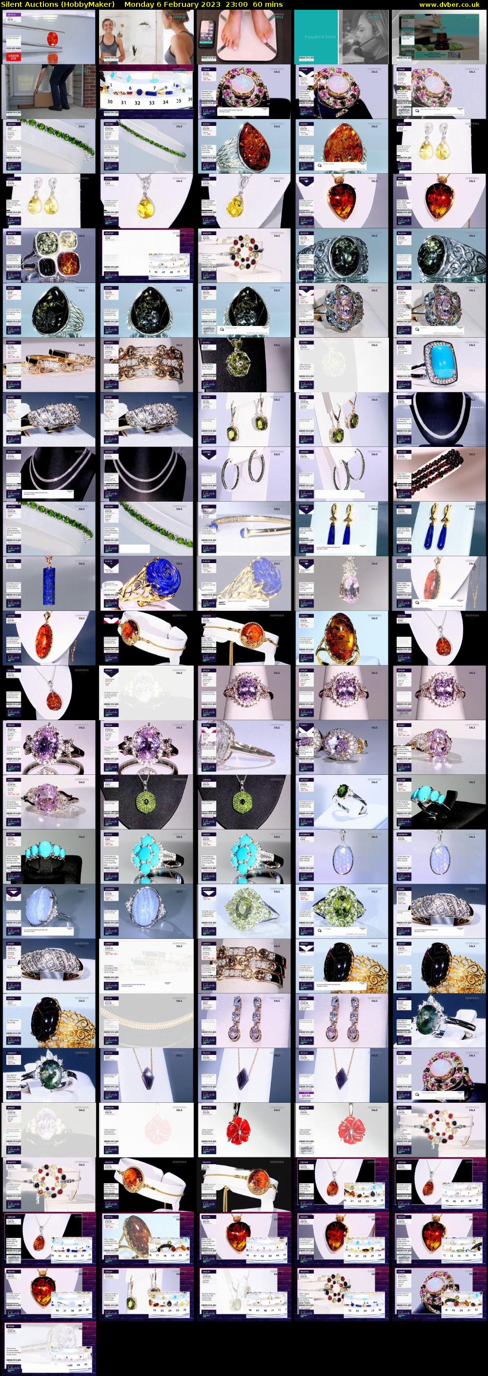 Silent Auctions (HobbyMaker) Monday 6 February 2023 23:00 - 00:00