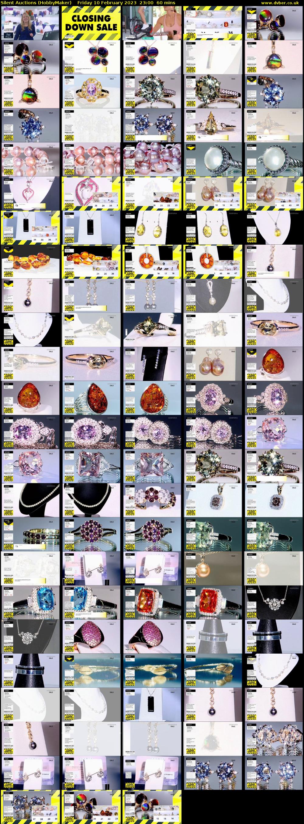 Silent Auctions (HobbyMaker) Friday 10 February 2023 23:00 - 00:00