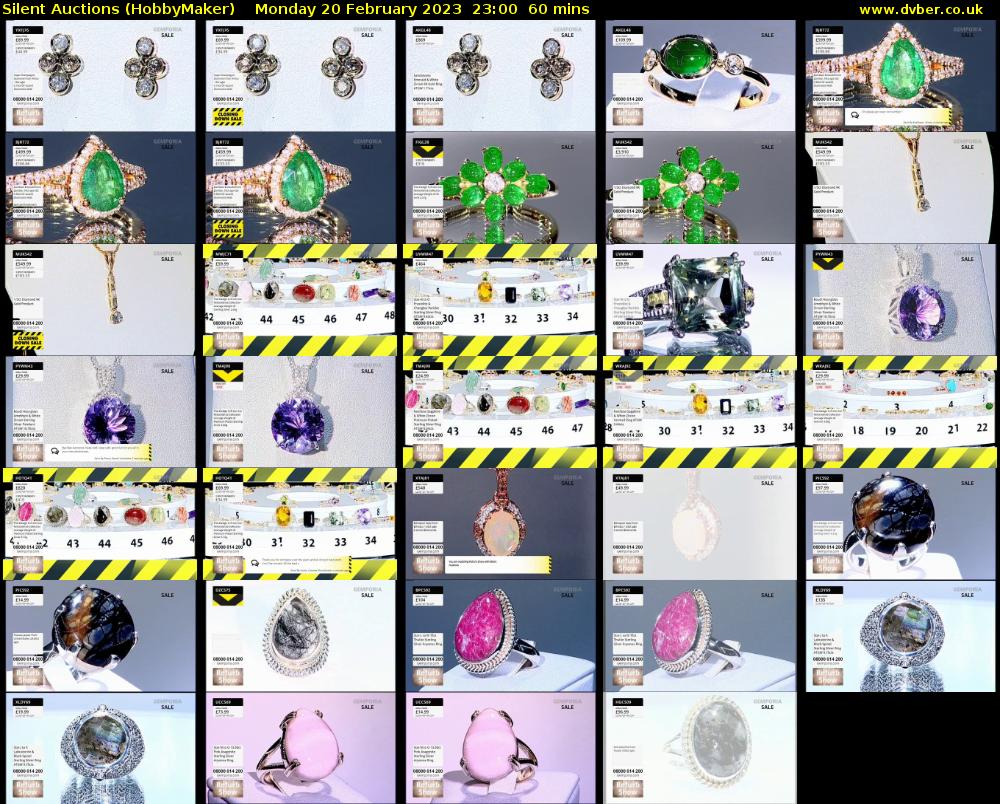 Silent Auctions (HobbyMaker) Monday 20 February 2023 23:00 - 00:00