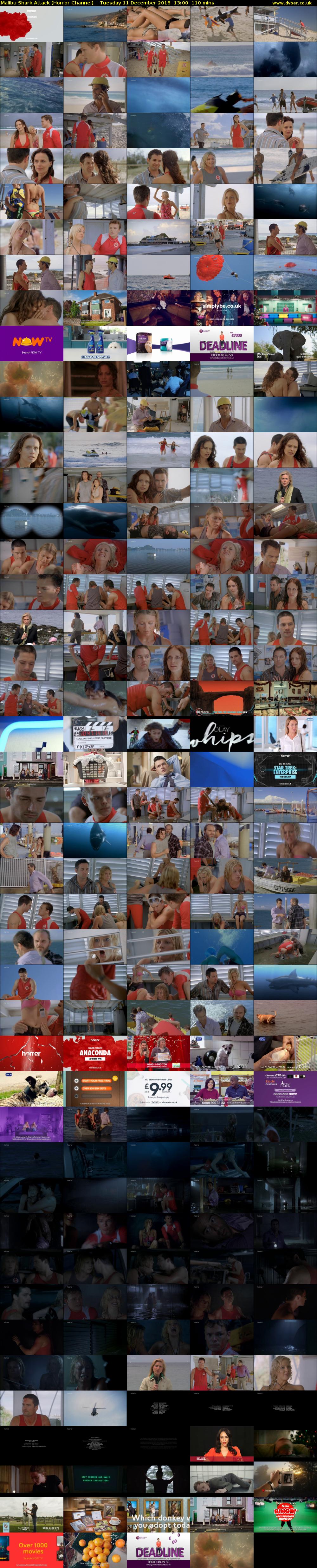 Malibu Shark Attack (Horror Channel) Tuesday 11 December 2018 13:00 - 14:50
