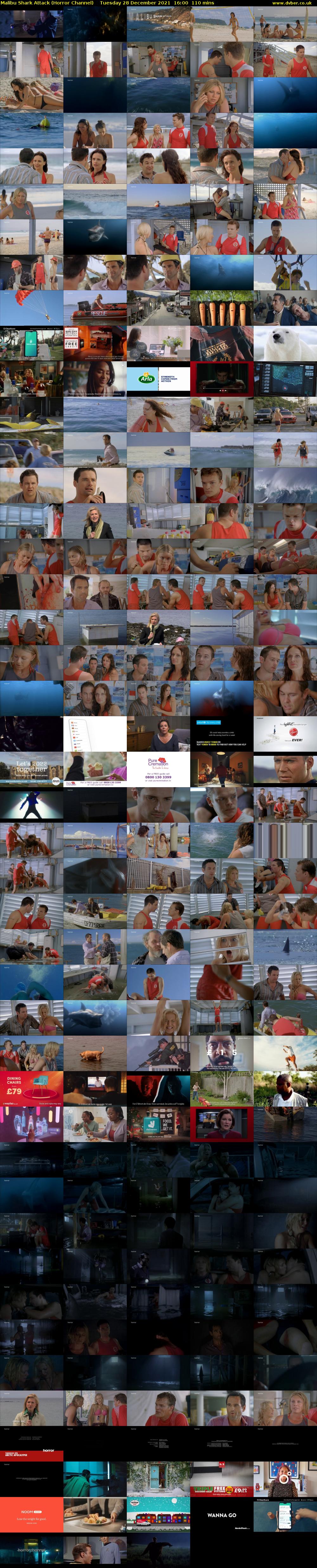 Malibu Shark Attack (Horror Channel) Tuesday 28 December 2021 16:00 - 17:50