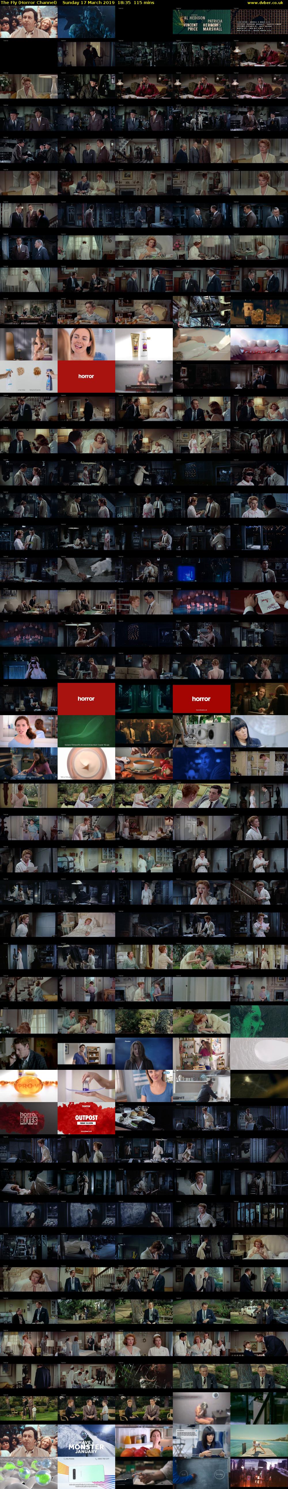 The Fly (Horror Channel) Sunday 17 March 2019 18:35 - 20:30