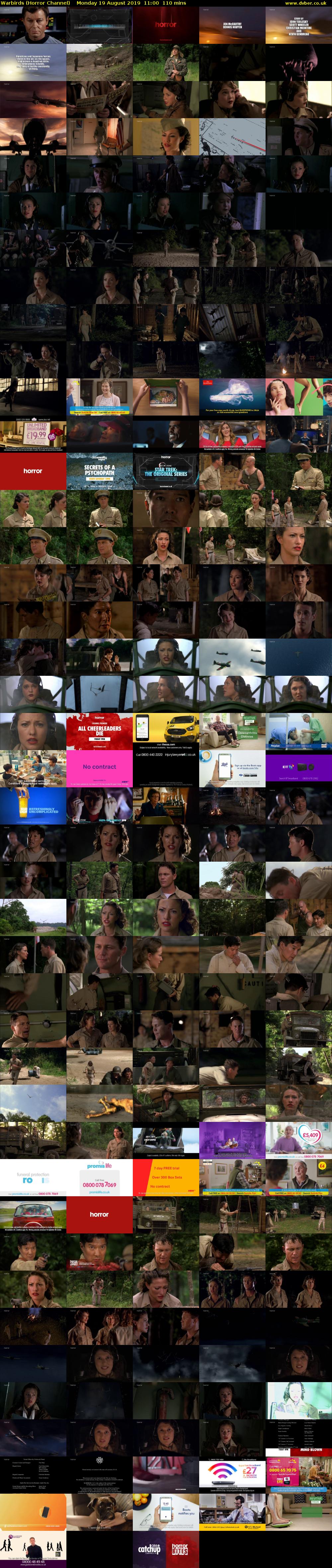 Warbirds (Horror Channel) Monday 19 August 2019 11:00 - 12:50