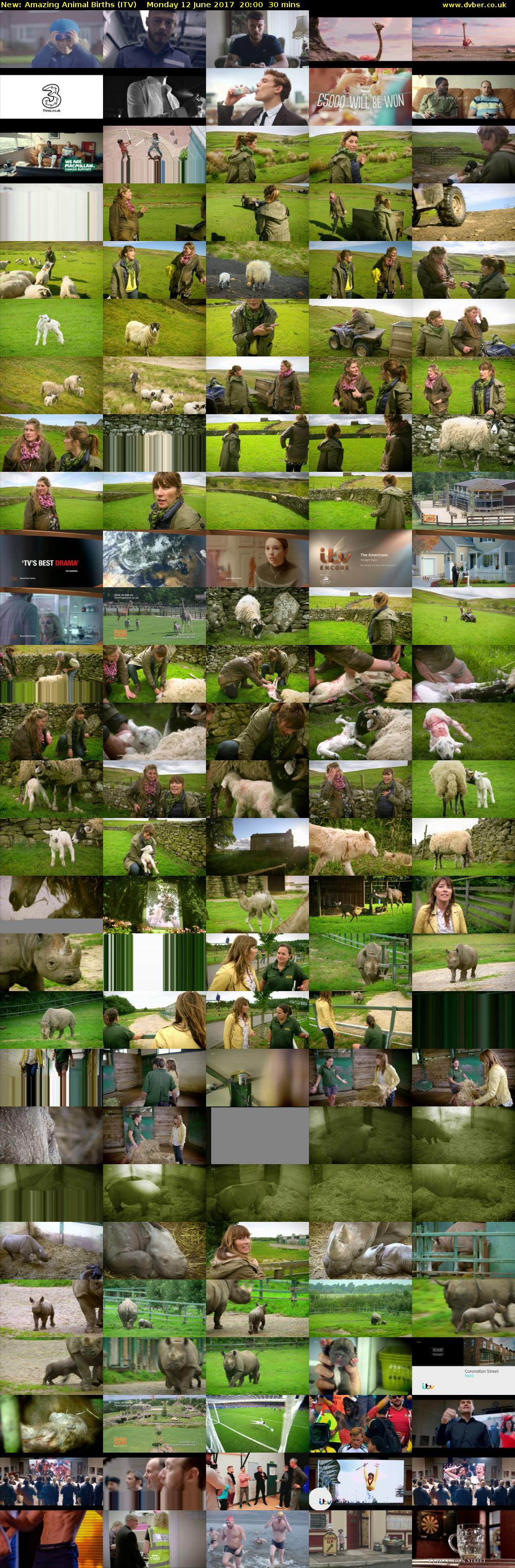 Amazing Animal Births (ITV) Monday 12 June 2017 20:00 - 20:30
