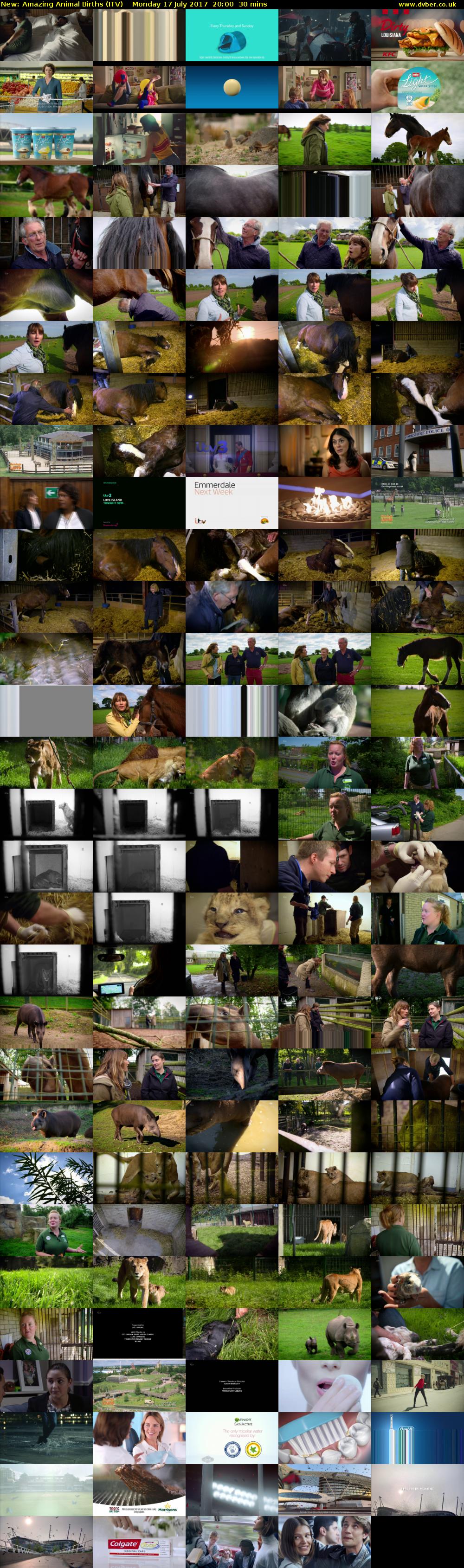 Amazing Animal Births (ITV) Monday 17 July 2017 20:00 - 20:30
