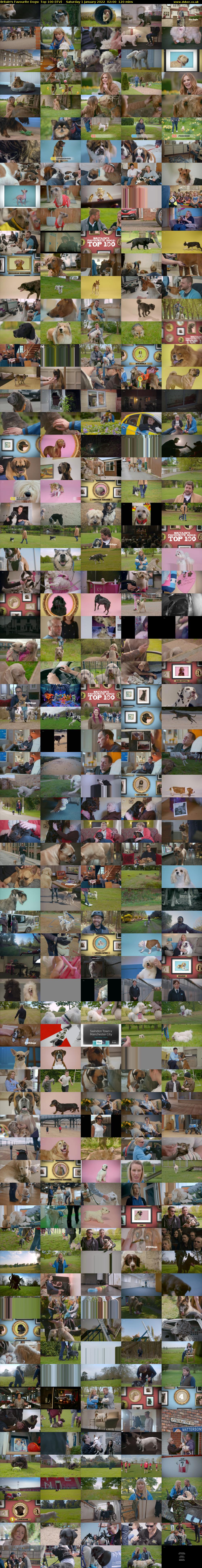 Britain's Favourite Dogs: Top 100 (ITV) Saturday 1 January 2022 02:00 - 04:00